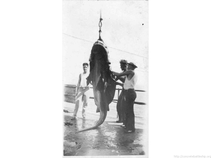 Ft Drum - fishing - gutting shark - 1933 copy