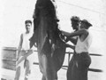 Ft Drum - fishing - gutting shark - 1933 copy